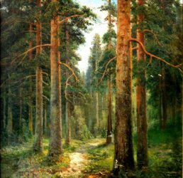 Семен Федоров (1867–1910) «Сосновий ліс» -artmuseum.org.ua